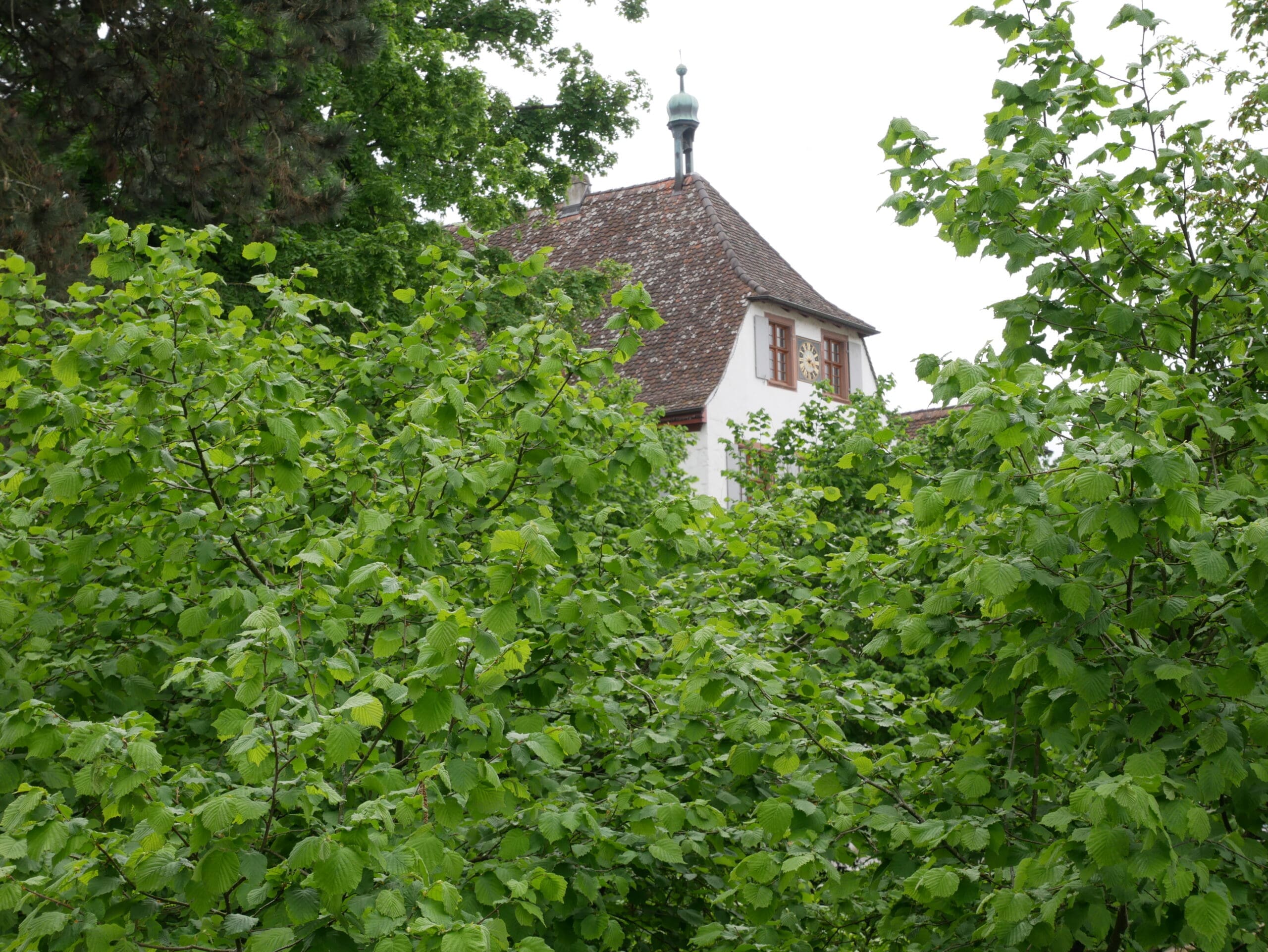Schloss Binningen