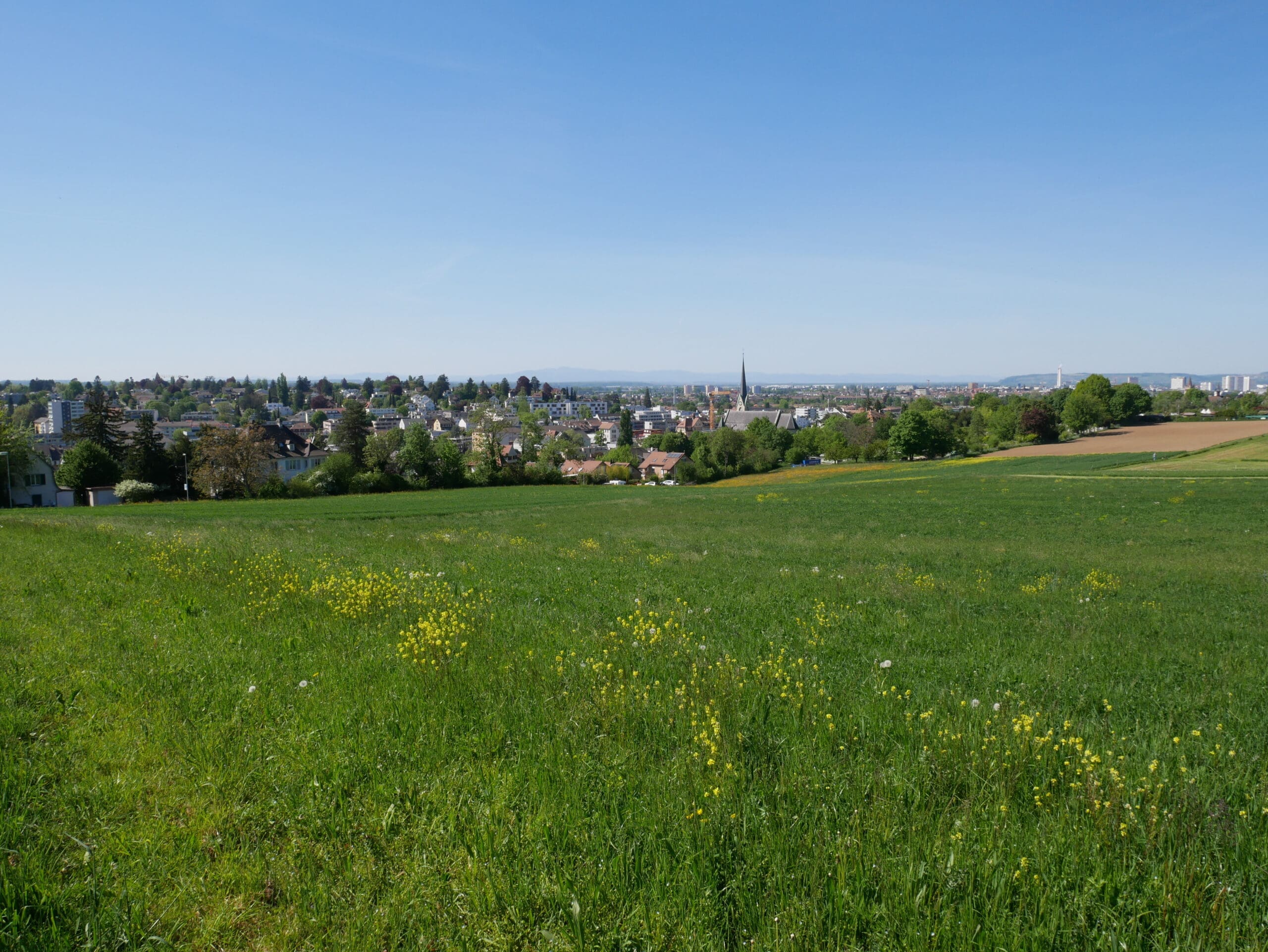 Binningen vom Bruderholz